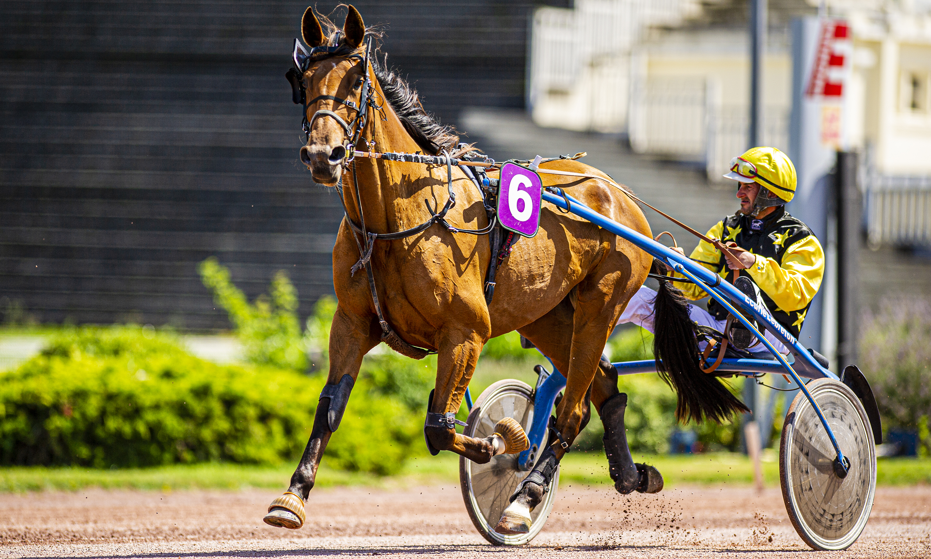 Hippodrome Enghien